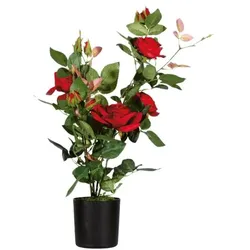 meet Kunstpflanze »Rosenstock« 54 cm rot, 54 cm