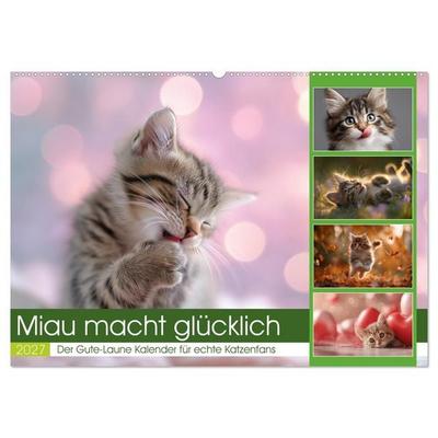 Miau macht glücklich (Wandkalender 2027 DIN A2 quer), CALVENDO Monatskalender