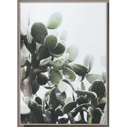 Bild KAKTEEN (BHT 102x142x4 cm) - BHT 102x142x4 cm