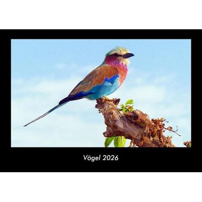 Vögel 2026 Fotokalender DIN A3