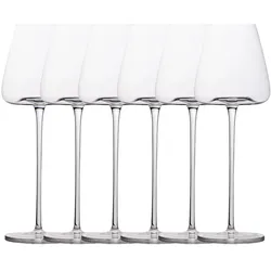 Intirilife Wein Glas Set für Rotwein Weisswein, Weingläser, Transparent