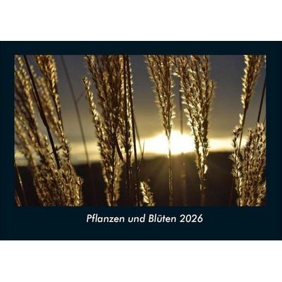 Pflanzen und Blüten 2026 Fotokalender DIN A4