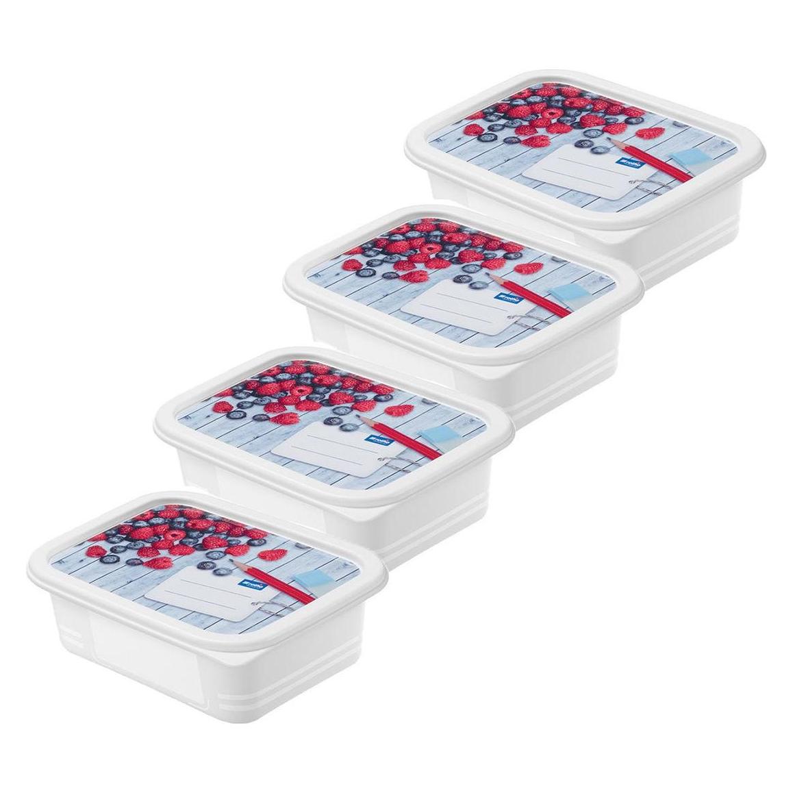 Rotho Gefrierdosen Set Domino (0.50 l) (1755106161)