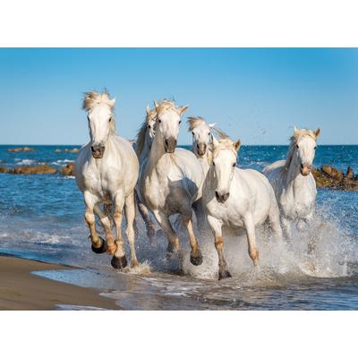 Fototapete PAPERMOON "Camargue Horses", bunt, B:3,5m L:2,6m, Vlies, Tapeten