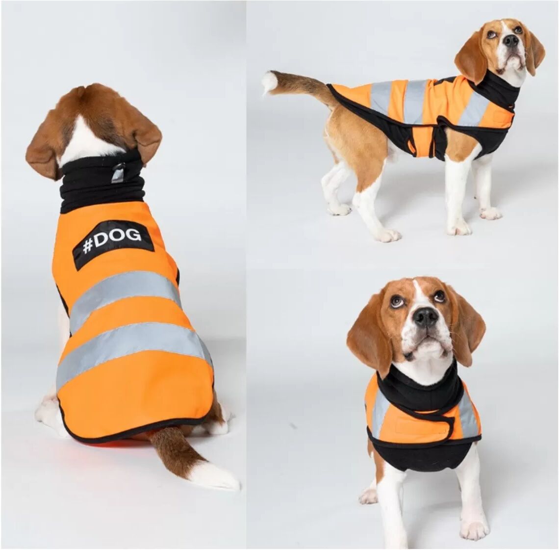 INF Reflektierende Sicherheitsweste für Haustiere - hochsichtbare Polyester Hund & Katze Weste, Anti-Loss, Ganzjahres XL Orange