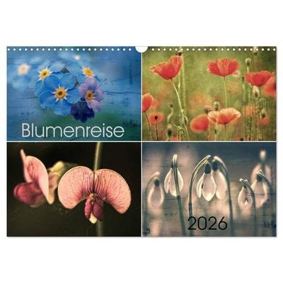 Blumenreise 2026 (Wandkalender 2026 DIN A3 quer), CALVENDO Monatskalender