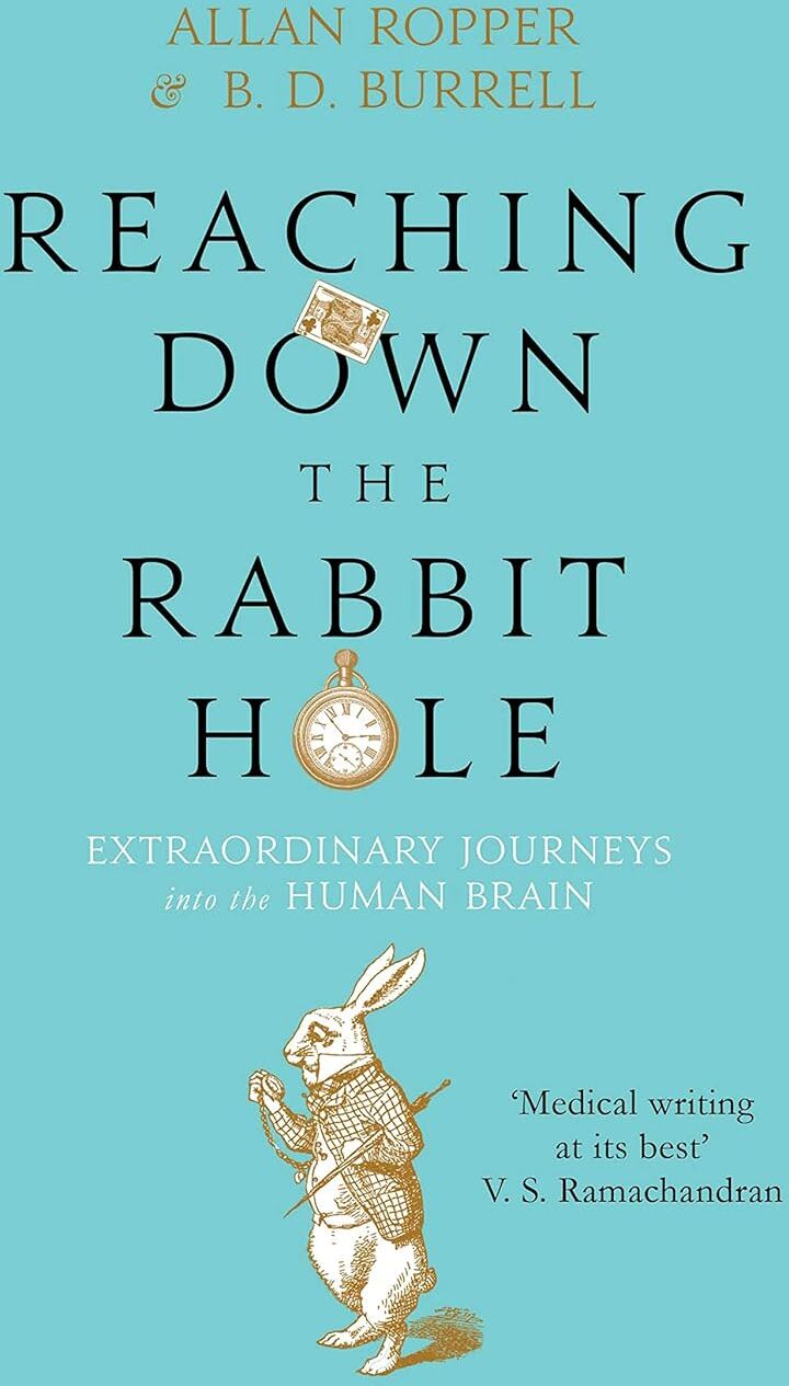 Atlantic Books Reaching Down the Rabbit Hole by Allan Ropper - Paperback Medical Memoir - True Neurology Case Stories from Harvard