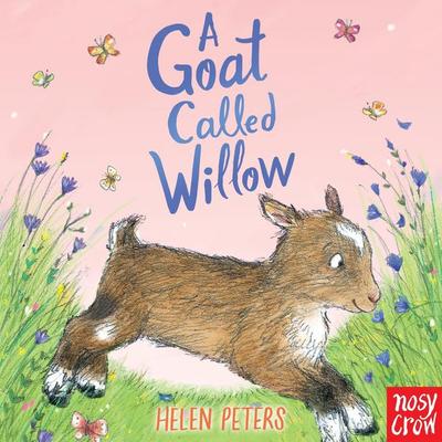 A Goat Called Willow - Helen Peters, Audio, 9781839946172
