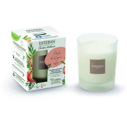 Rebpfirsich Duftkerze 180g