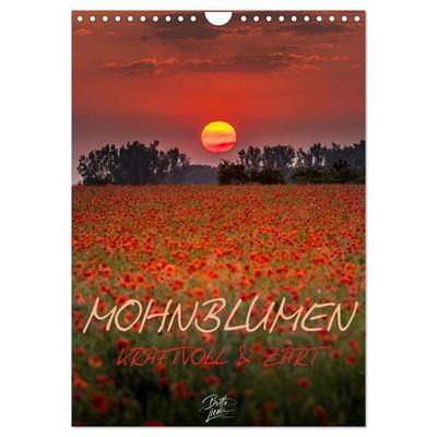 Mohnblumen - kraftvoll und zart (Wandkalender 2026 DIN A4 hoch), CALVENDO Monatskalender