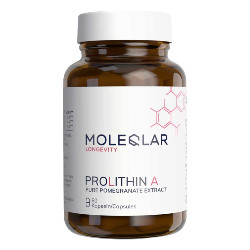 MoleQlar GmbH Moleqlar Prolithin A Kapseln (Urolithin A Vorläufer) 20584316