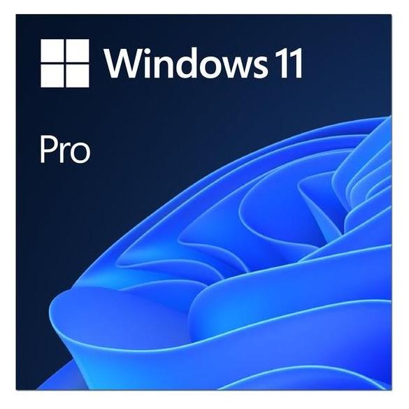 Microsoft Win 11 Pro for Wrkstns 64Bit Eng Intl DSP OEI DVD (1 User, 12 Monate) (HZV-00101)