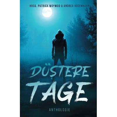 Düstere Tage, Taschenbuch von Heike Meckelmann, Epubli, 978-3-8197-2504-3