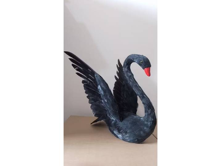 Grandes ailes de simulation noires, modèle de cygne en mousse et plumes, cadeau d'environ 30x50cm xf2997