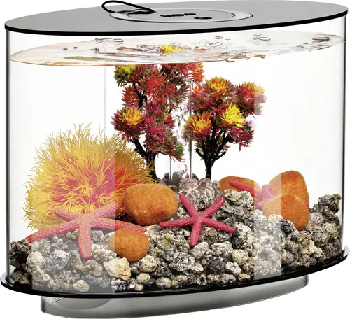 OASE biOrb 86425 biOrb LOOP 15 LED schwarz Aquarium EEK: G (A - G) 15l mit LED-Beleuchtung