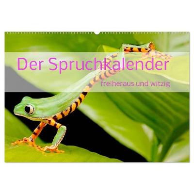 Der Spruchkalender - freiheraus und witzig (Wandkalender 2027 DIN A2 quer), CALVENDO Monatskalender