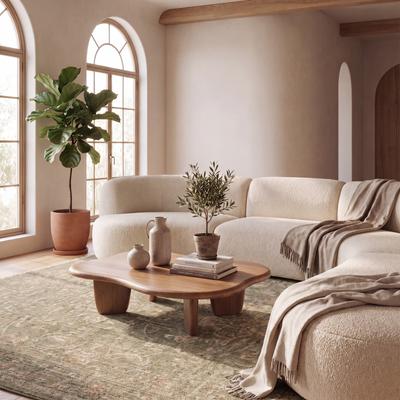 Nuloom Esmavelle Vintage & Distressed Traditional Area Rug