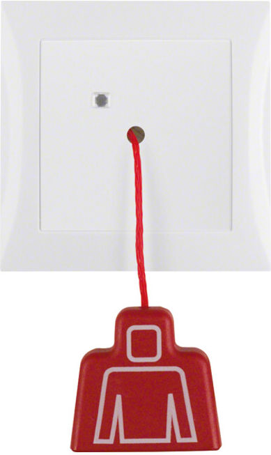 Berker Bouton-poussoir pows/gl avec cadre 52028989 (52028989)