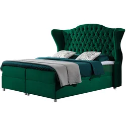 BOXBETT Livia - H3
