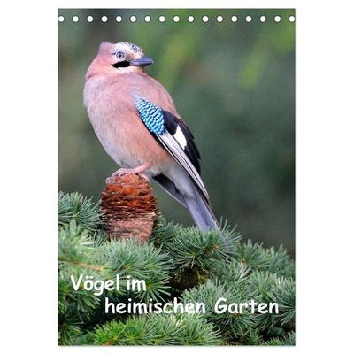 Vögel im heimischen Garten (Tischkalender 2026 DIN A5 hoch), CALVENDO Monatskalender