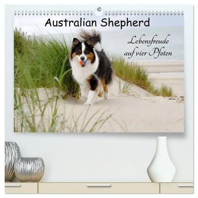 Australian Shepherd - Lebensfreude auf vier Pfoten (hochwertiger Premium Wandkalender 2027 DIN A2 quer), Kunstdruck in Hochglanz