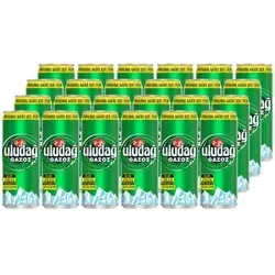 Uludag Gazoz Einweg 24x 330ml