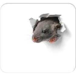 RNK-Verlag Mousepad-Notizblock 24,0 x 22,0 cm weiß/grau