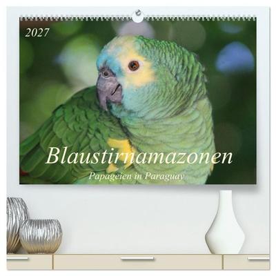 Blaustirnamazonen - Papageien in Paraguay (hochwertiger Premium Wandkalender 2027 DIN A2 quer), Kunstdruck in Hochglanz