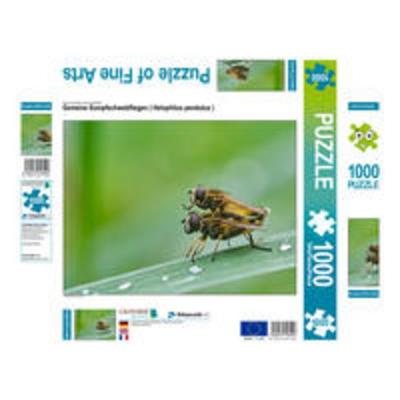 CALVENDO Puzzle Gemeine Sumpfschwebfliegen ( Helophilus pendulus ) | 1000 Teile Lege-Größe 64x48cm Foto-Puzzle für glückliche Stunden