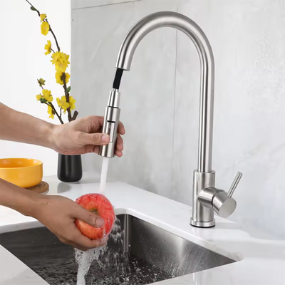 Inspire Daily Merch Pull out Kitchen Faucet Stainless Steel Brushed Sink Faucet Single Hole Water Faucet Pull out Kitchen Faucet Stainless Steel Brushed Sink Faucet Single Hole Water Faucet