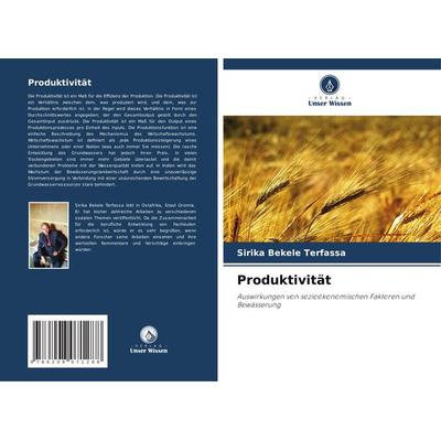 Produktivität, Taschenbuch von Sirika Bekele Terfassa, Verlag Unser Wissen, 978-620-8-07128-8