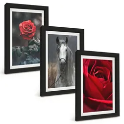 BILDER SET 3er Set - 20x30 cm Schwarzer Rahmen - Rote Rosen, Pferdegrau, Welt