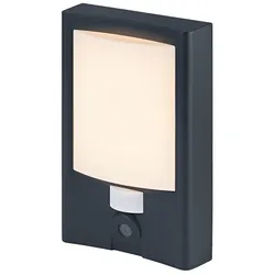 LEDVANCE LED-Außenwandkameraleuchte Entrance Kunststoff