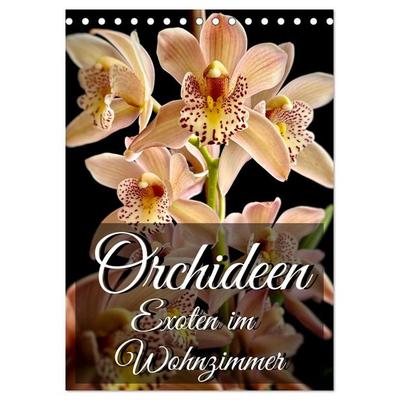 Orchideen - Exoten im Wohnzimmer (Tischkalender 2027 DIN A5 hoch), CALVENDO Monatskalender