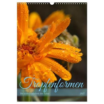 Tropfenformen - Die stille Schönheit der Natur (Wandkalender 2027 DIN A3 hoch), CALVENDO Monatskalender