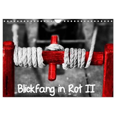 Blickfang in Rot (Wandkalender 2027 DIN A4 quer), CALVENDO Monatskalender