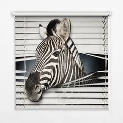 INNENROLLO - Fensterrollo - Rollo - 150x180 cm - Rippchen