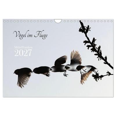 Vögel im Fluge (Wandkalender 2027 DIN A4 quer), CALVENDO Monatskalender