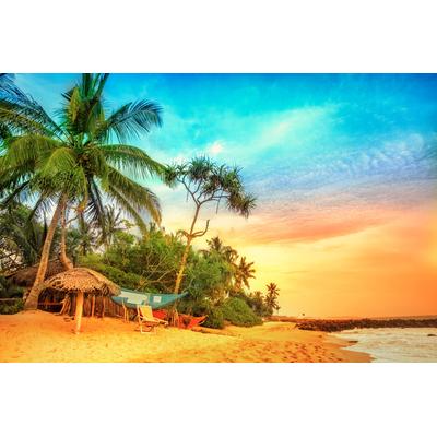 Papermoon "PALMEN-STRAND-KARIBIK SÜDSEE MEER DÜNEN SONNE OZEAN XXL"