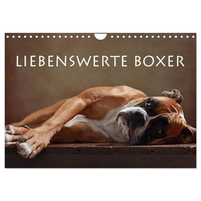 Liebenswerte Boxer (Wandkalender 2026 DIN A4 quer), CALVENDO Monatskalender