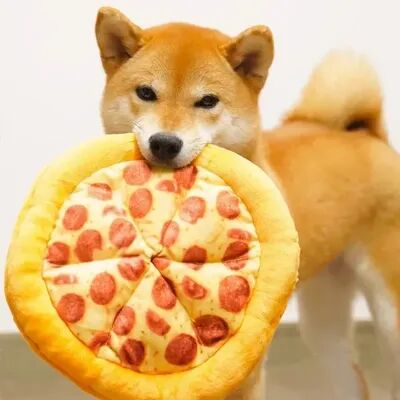 The Handy Homestead Pizza Dog Toy Plush Squeaky Chew Toy For Puppies And Small Dogs Pizza Dog Toy Plush Squeaky Chew Toy For Puppies And Small Dogs