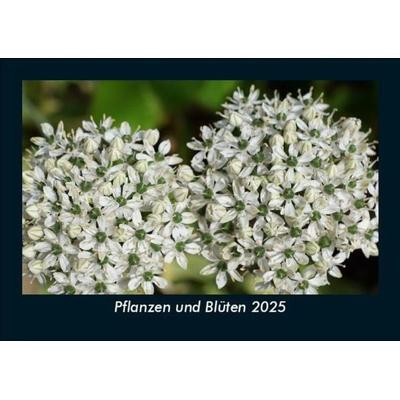Pflanzen und Blüten 2025 Fotokalender DIN A5