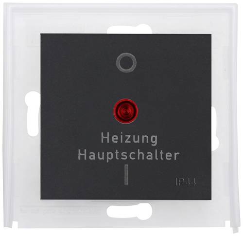 Kopp Wippe Anthrazit 493815004 1St.