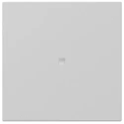Gira Wippe gerade Kontrollf. 3490015