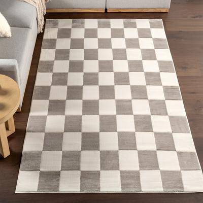 Nuloom Zhuri Checkered Machine Washable Area Rug