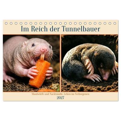 Im Reich der Tunnelbauer - Maulwürfe und Nacktmulle, Leben im Verborgenen (Tischkalender 2027 DIN A5 quer), CALVENDO Monatskalender