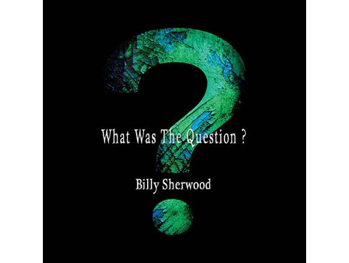 What Was The Question?