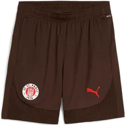 Puma, Herren, Sporthose, FCSP Training Shorts (3XL), Braun