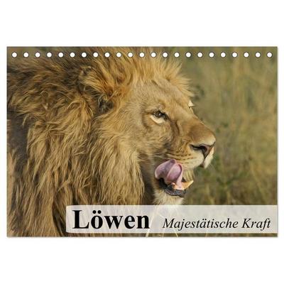 Löwen. Majestätische Kraft (Tischkalender 2026 DIN A5 quer), CALVENDO Monatskalender