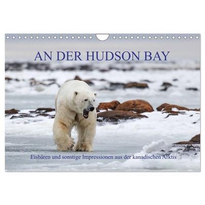 AN DER HUDSON BAY (Wandkalender 2026 DIN A4 quer), CALVENDO Monatskalender